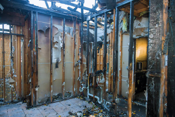 Professional Fire Damage Repair technician working in Nerstrand, MN